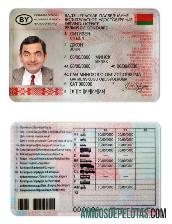 Carta de condução da Bielorrússia baixar para verificação